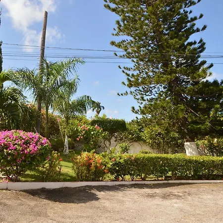 Hibiscus Montego Bay