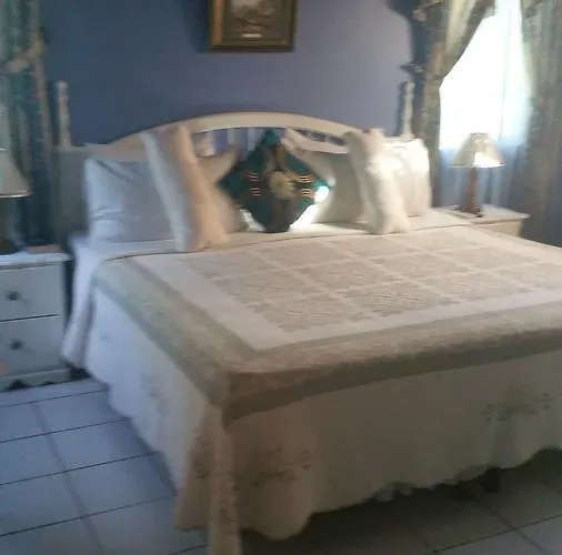 Bed and breakfast Hibiscus