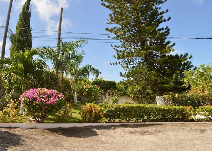 Bed and breakfast Hibiscus