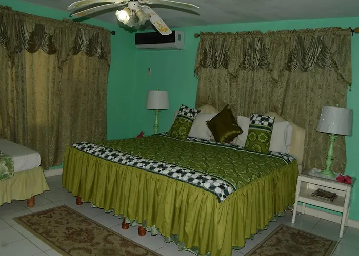 Hibiscus * Montego Bay